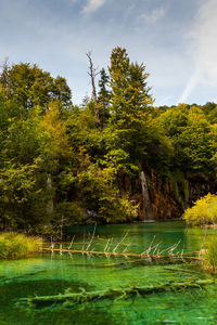 Scenic view of lake by trees against sky