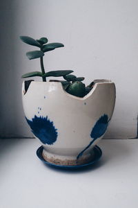 Close-up of vase on table