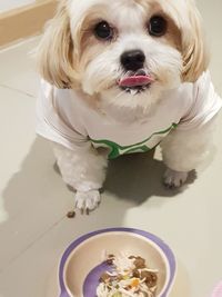 Portrait of dog