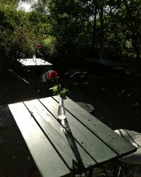 High angle view of flower trees by water