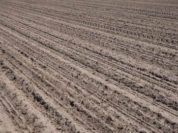 Full frame shot of agricultural field