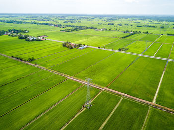 Scenic view of agricultural field