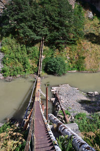 Bridge over river amidst trees