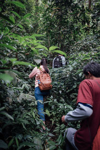 Rear view of people on plants against trees