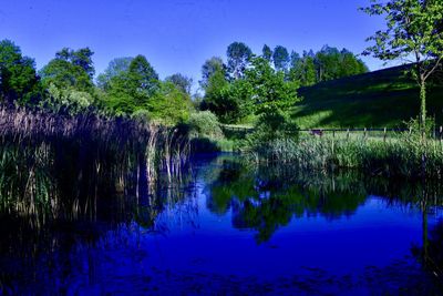 Reflection of trees in lake against sky