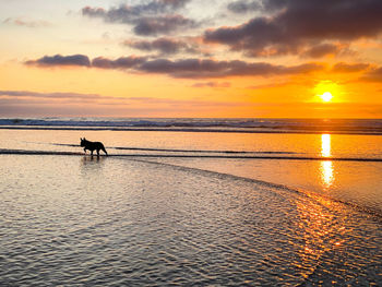 Scenic view of sea against orange sky