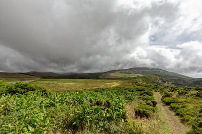 Scenic view of landscape against sky