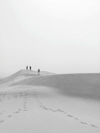 People walking on snow covered land