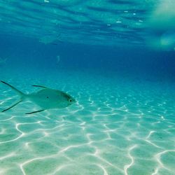 Full frame shot of swimming pool