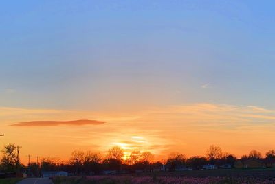 Silhouette trees against sky during sunset