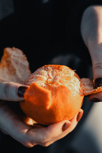 Close-up of person holding apple