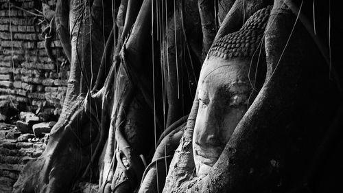 Close-up of buddha statue in abandoned temple