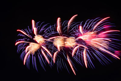 Firework display against sky at night