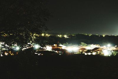 View of illuminated trees at night