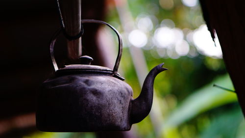 Close-up of bird perching on metal