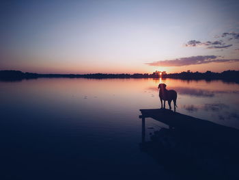 Silhouette man standing on lake against sky during sunset