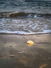 High angle view of sea shore