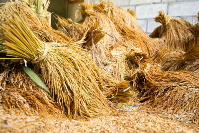 Close-up of hay bales on field