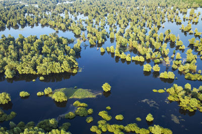 Flood in kopacki rit nature park, croatia