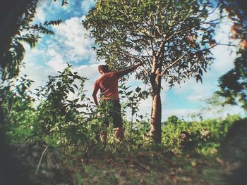 Low angle view of person standing by trees in forest against sky