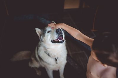 Dog and woman at home