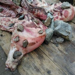 Close-up of raw meat