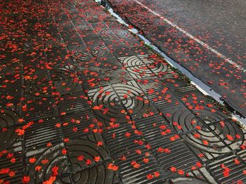 Full frame shot of red berries on road