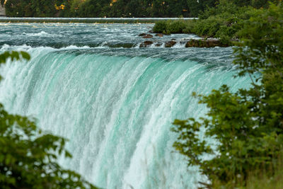 Scenic view of river flowing through plants