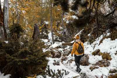 Rear view of young woman hiking on snowy path in woods in winter