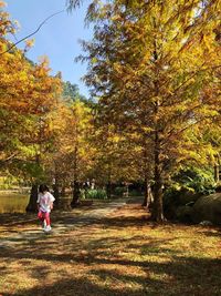 Girl standing in park during autumn