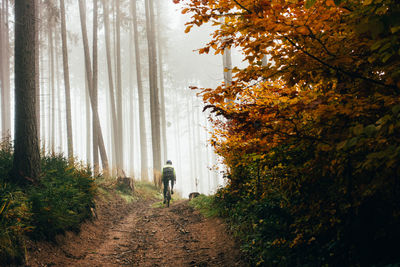 Rear view of person walking in forest during autumn