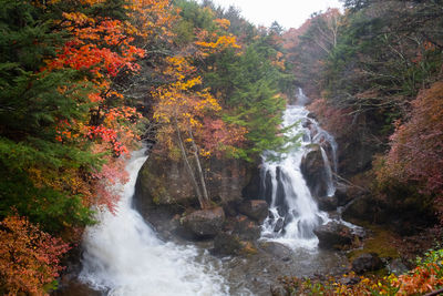 Scenic view of waterfall in forest