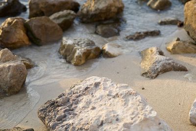 High angle view of rocks on beach