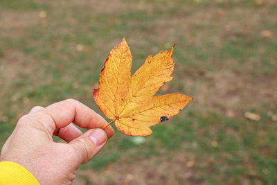 Cropped image of hand holding yellow maple leaf