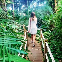 Full length rear view of woman walking on footpath