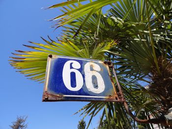 Low angle view of signboard against palm tree and clear blue sky