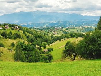 Scenic view of landscape against sky