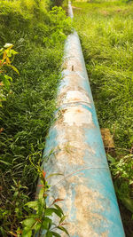 High angle view of tree trunk on land