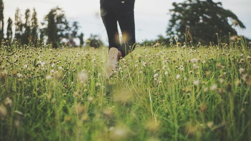Low section of person standing on field