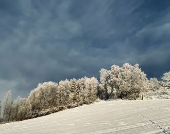 Trees on snow covered field against sky