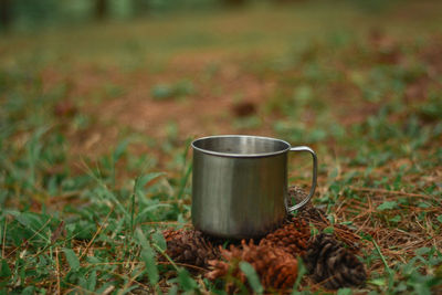 Coffee cup on plant in field