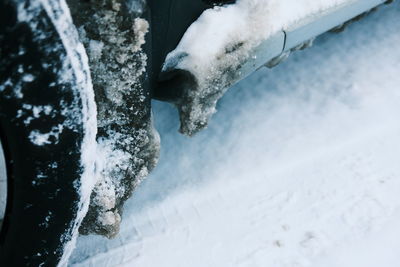 Close-up of frozen water