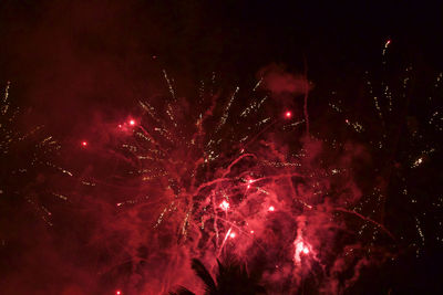 Low angle view of firework display at night