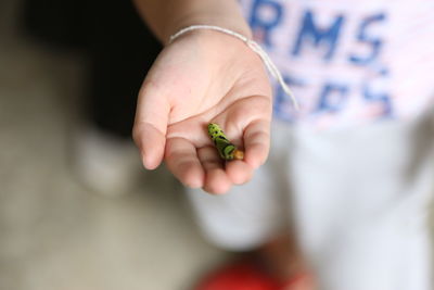 Midsection of boy holding insect