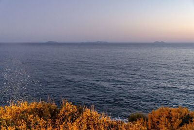 Scenic view of sea against clear sky during sunset