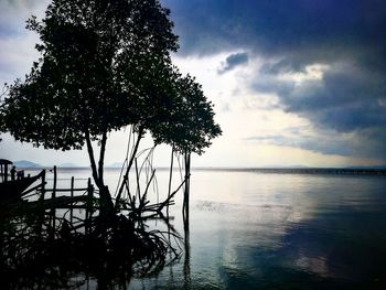 Silhouette tree by sea against sky