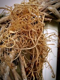 Low angle view of tree