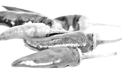 Close-up of ice cream over white background