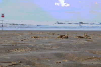 Surface level of beach against sky