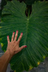green